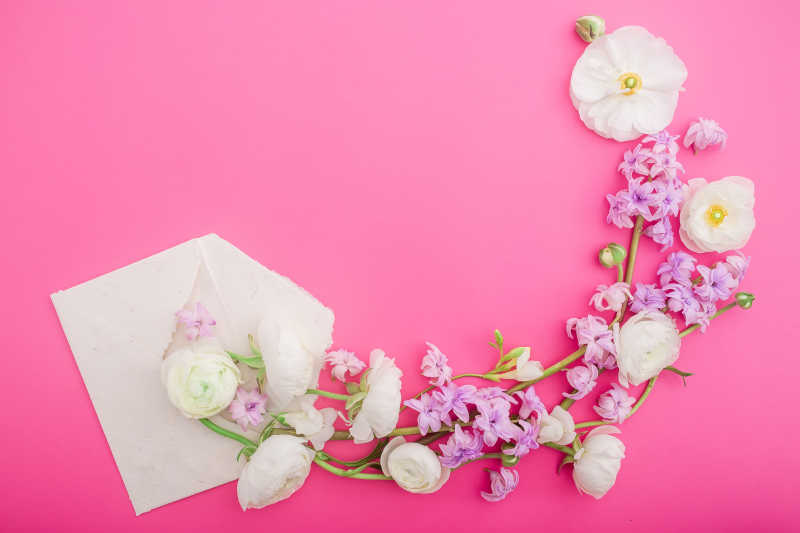 粉红色背景上的鲜花和纸信封平视图俯视图花轮架