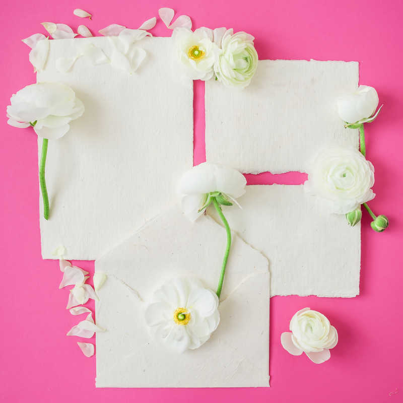 白色花朵的花朵框架和纸质书法卡片和粉红色背景信