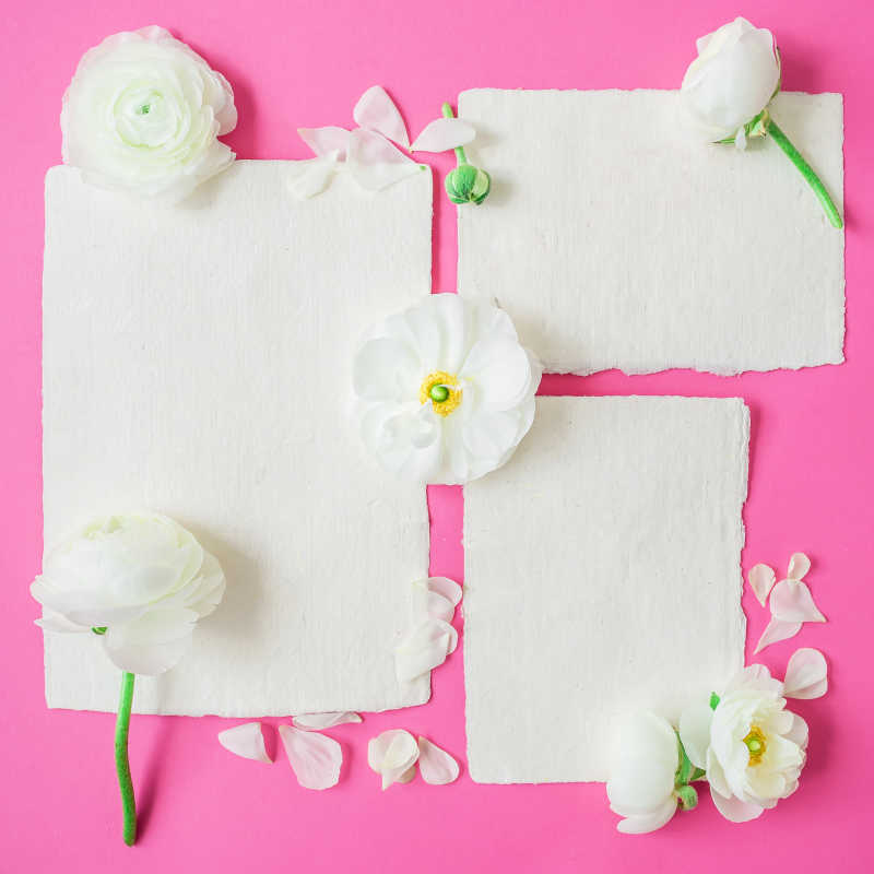 纸书法卡片和粉红色背景的白花信封平视图