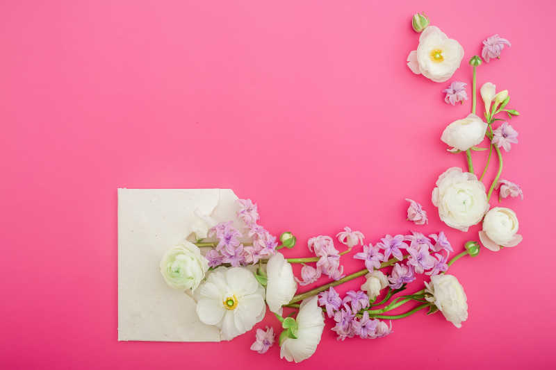粉红色背景上美丽的春花和纸信封