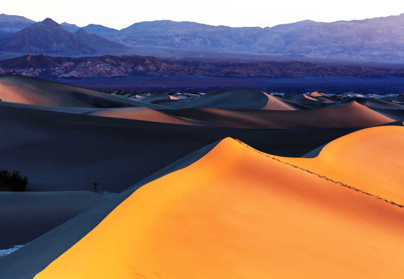 沙漠沙丘的自然景观