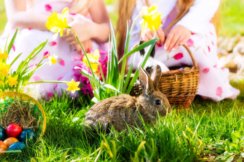 草地上的复活节兔子与孩子们