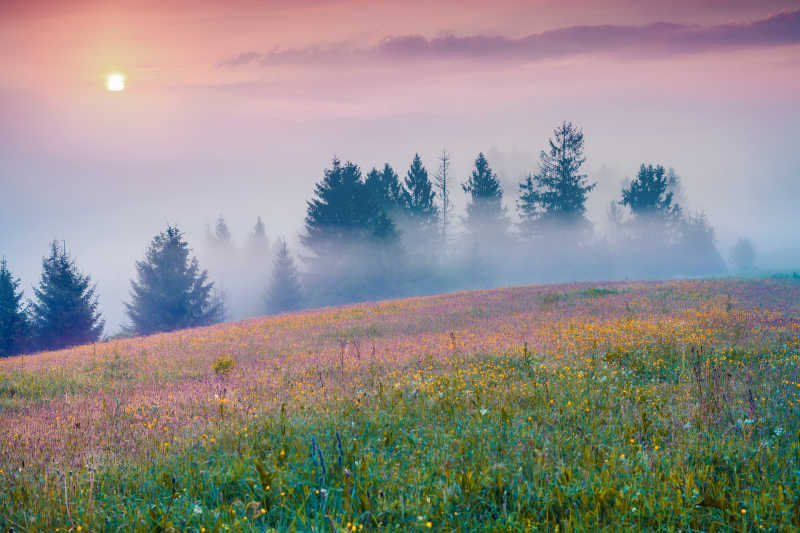 雾蒙蒙的山谷中多彩的夏日早晨