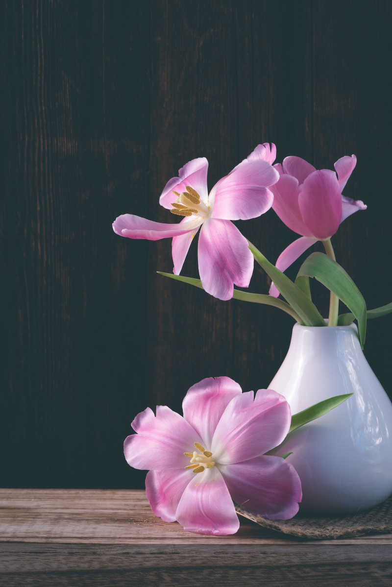 在花瓶中的粉红色郁金香