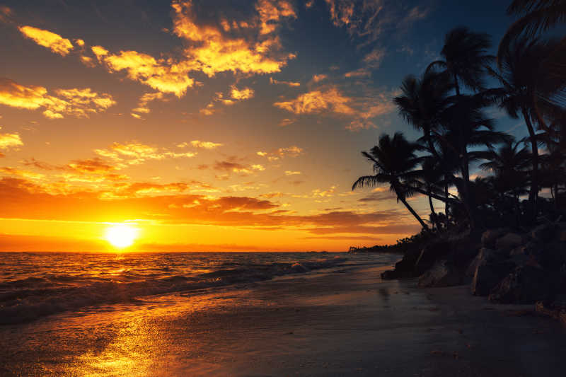 落日热带海滩上的棕榈树