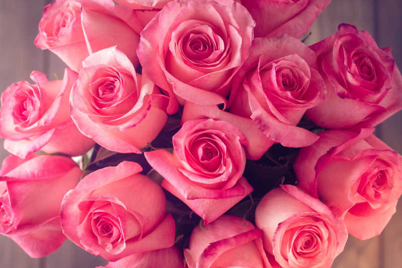 情人节或母亲节一大束粉红玫瑰
