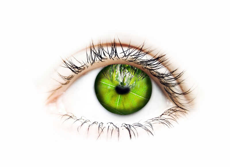 绿色瞳孔的眼睛特写