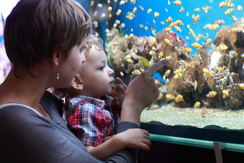 水族馆里的妈妈指着小鱼给儿子看