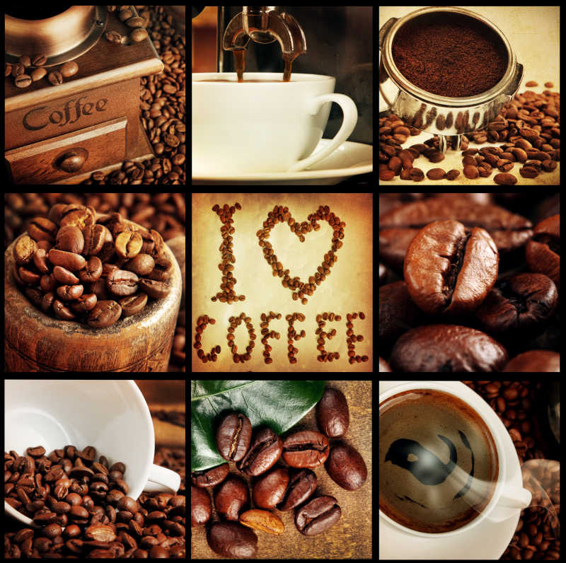 不同种类咖啡豆热咖啡的概念拼贴