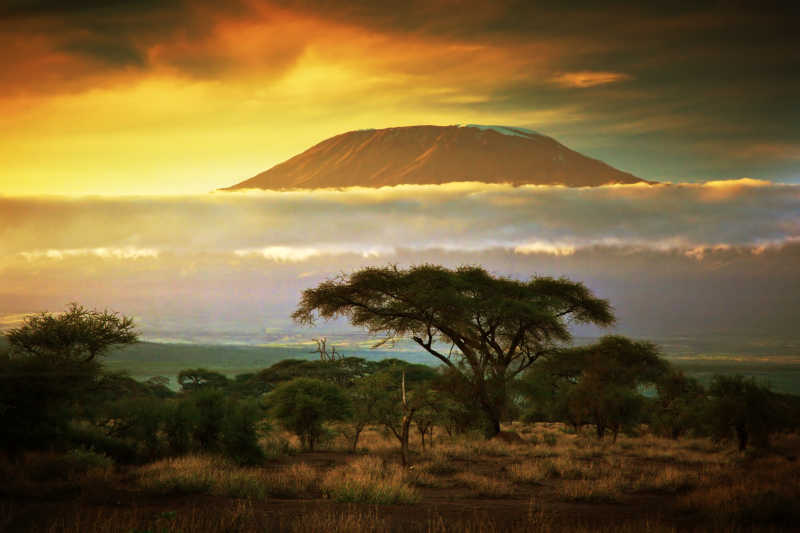 日落时分下的非洲肯尼亚国家公园草原景观