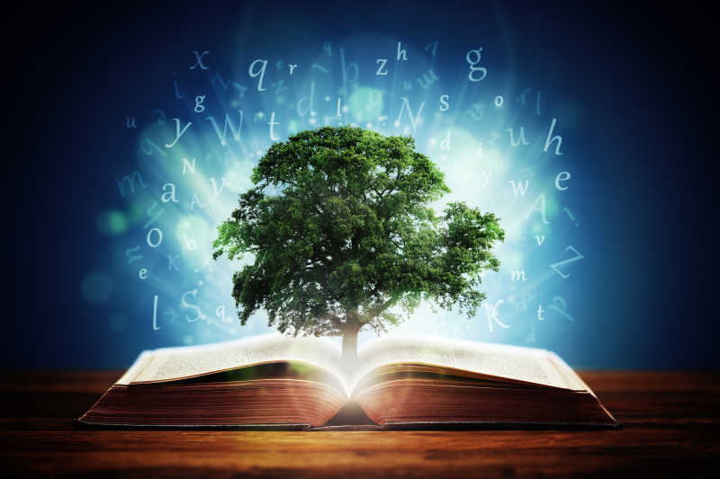 书或树的知识概念