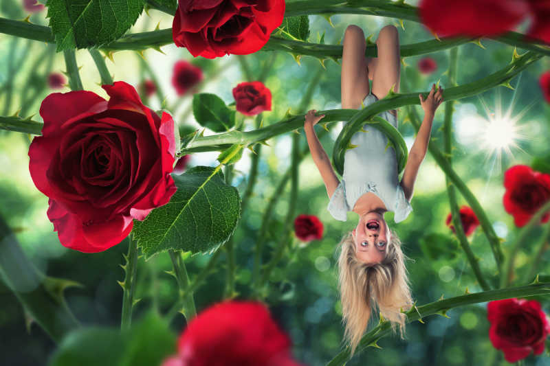 倒挂在放大的玫瑰花枝条上的小女孩