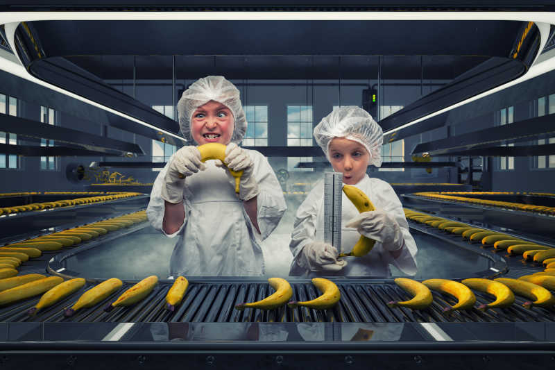 两个小男孩站在生产线上测量香蕉弯度和把香蕉扳直创意特写
