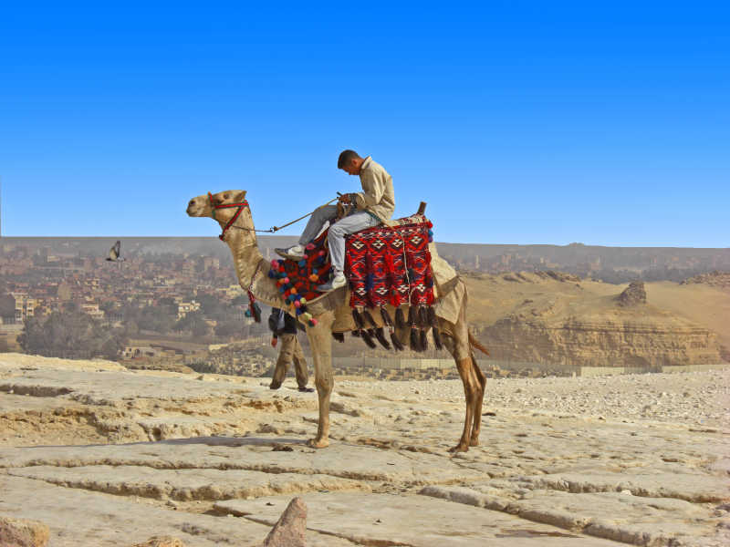 沙漠地里坐在骆驼上人特写