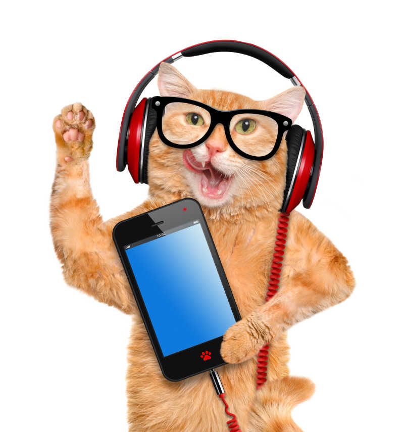 带着眼镜耳机听音乐的宠物猫