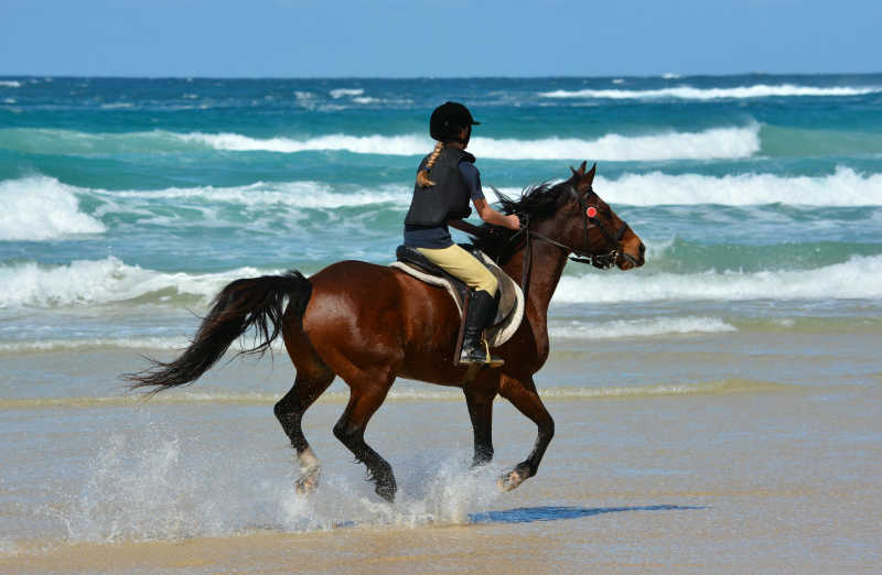 女性在海滩上骑马