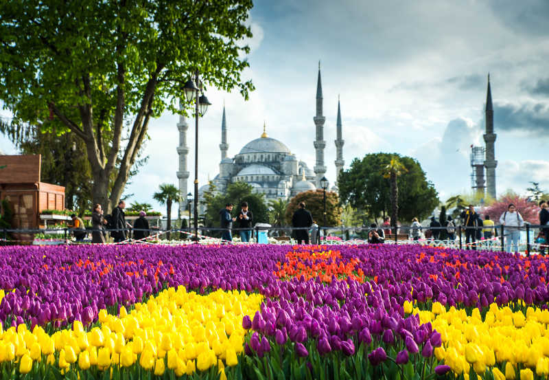 土耳其建筑风景
