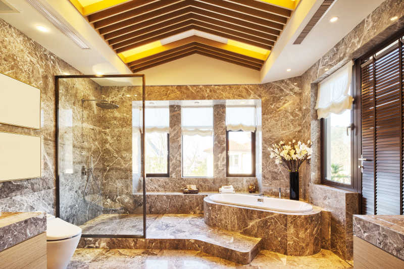 现代浴室的设计与卫生设施