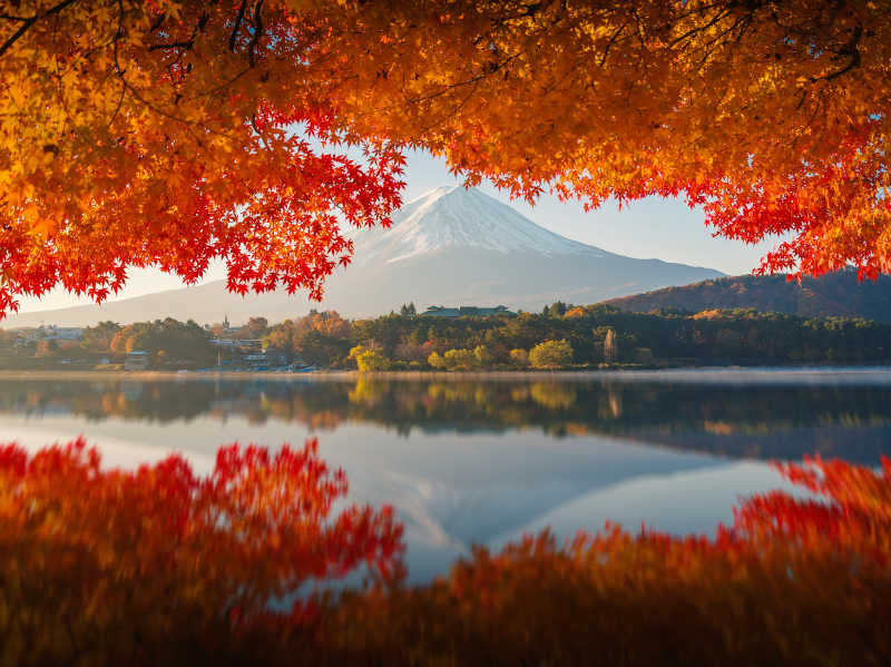 秋天富士山的秋景