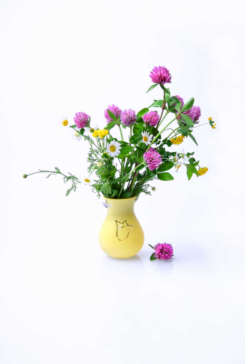 花瓶里的雏菊