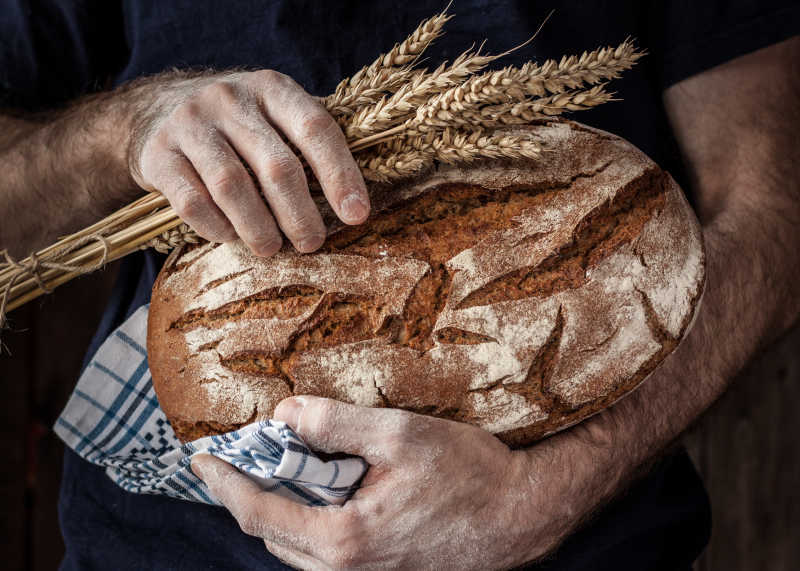 Baker手里拿着一条乡村面包和小麦