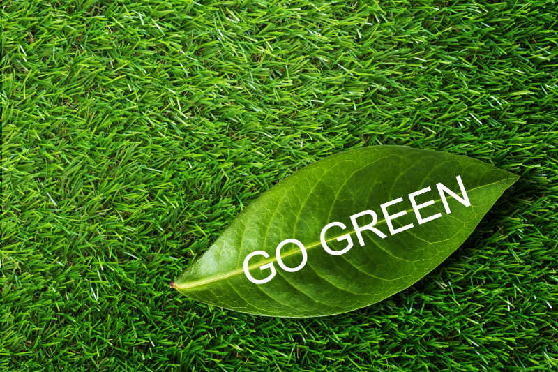 环保概念的绿色草地和叶子背景图