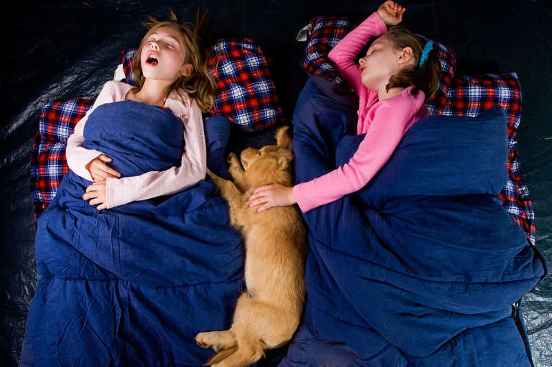 两个孩子与一条狗狗睡在一个帐篷