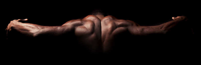 黑色背景中完美的背部肌肉