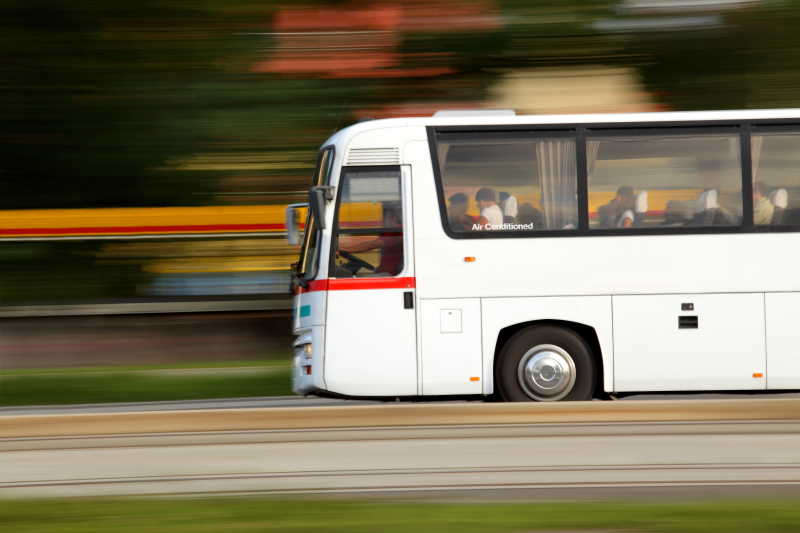 白色的公交车