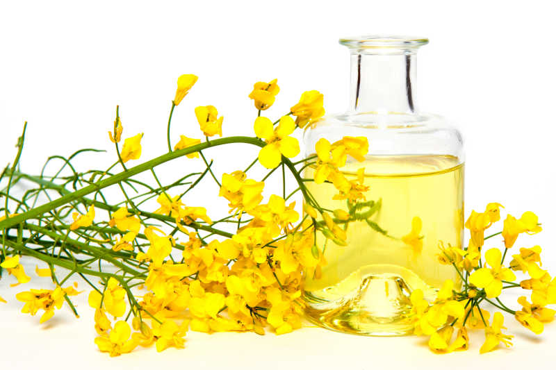 黄色的油菜花和玻璃瓶中的植物油
