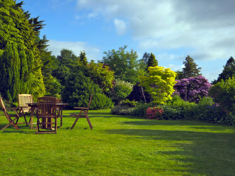 花园里紫藤萝花架前的餐桌椅