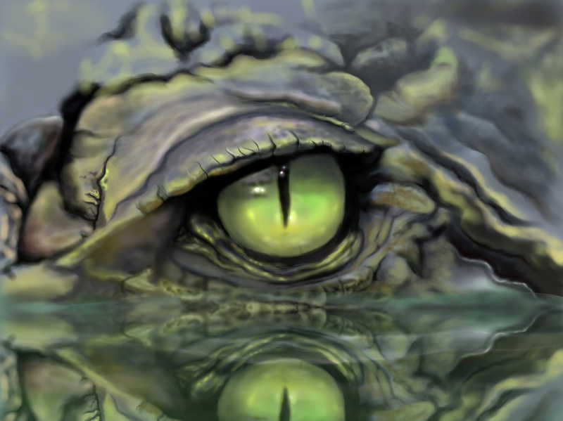 水中发绿的鳄鱼眼睛