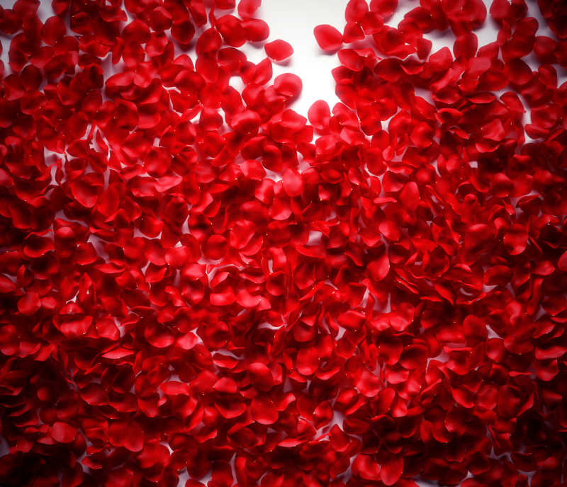 铺满一地的玫瑰花瓣