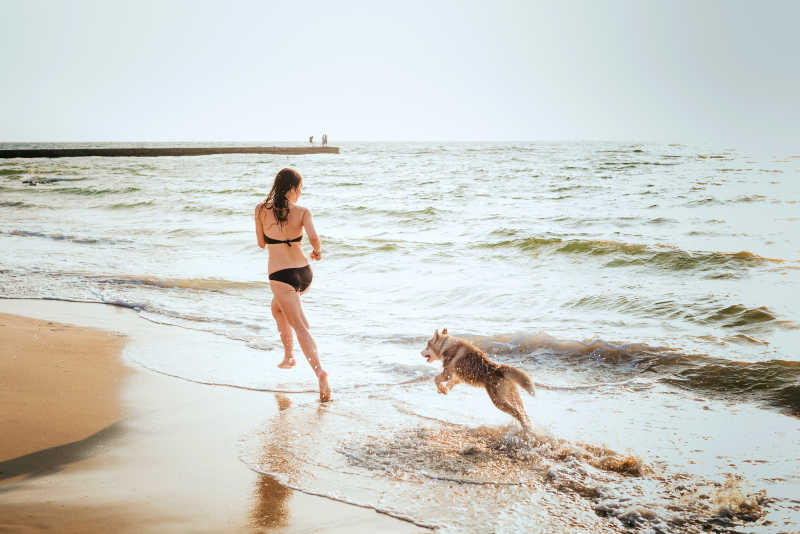 海滩边穿着比基尼奔跑的美女和宠物狗狗