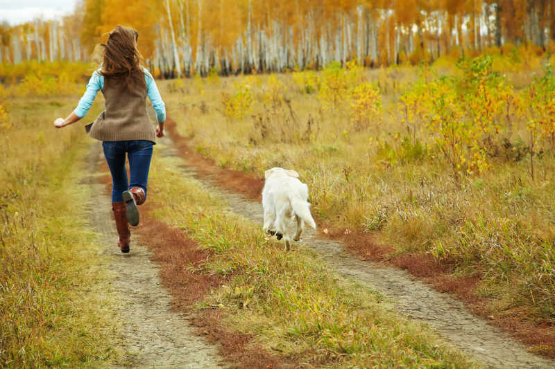 相间道路奔跑的美女和金毛猎犬