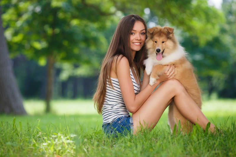 坐在草地上的长发美女与她的宠物狗狗