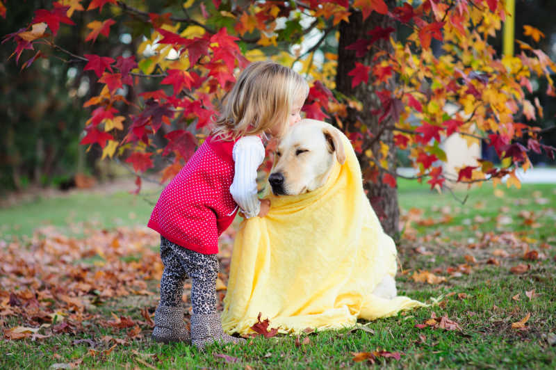 可爱的小女孩亲吻着可爱的拉布拉多犬