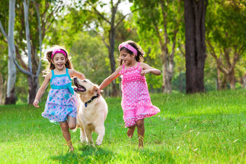 草地上与金毛猎犬玩耍的两个小女孩