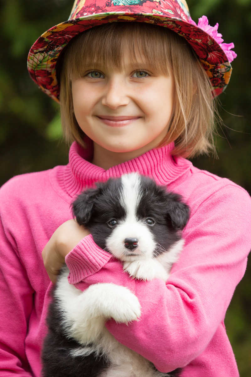小女孩抱着边境牧羊犬幼犬