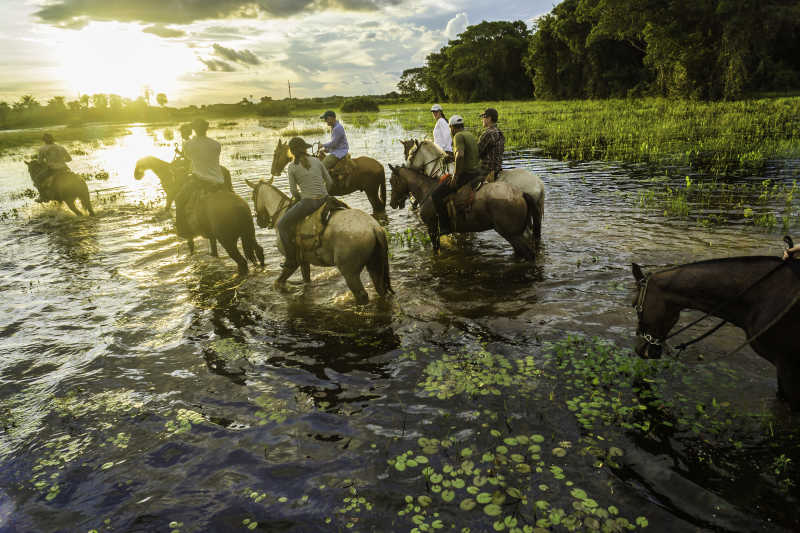 游客骑马在潘塔纳尔湿地