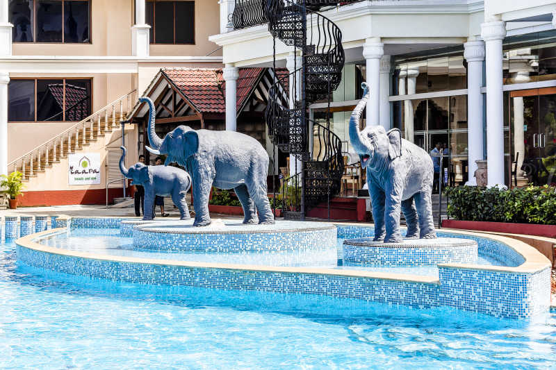 印度里约豪华度假酒店大象雕像