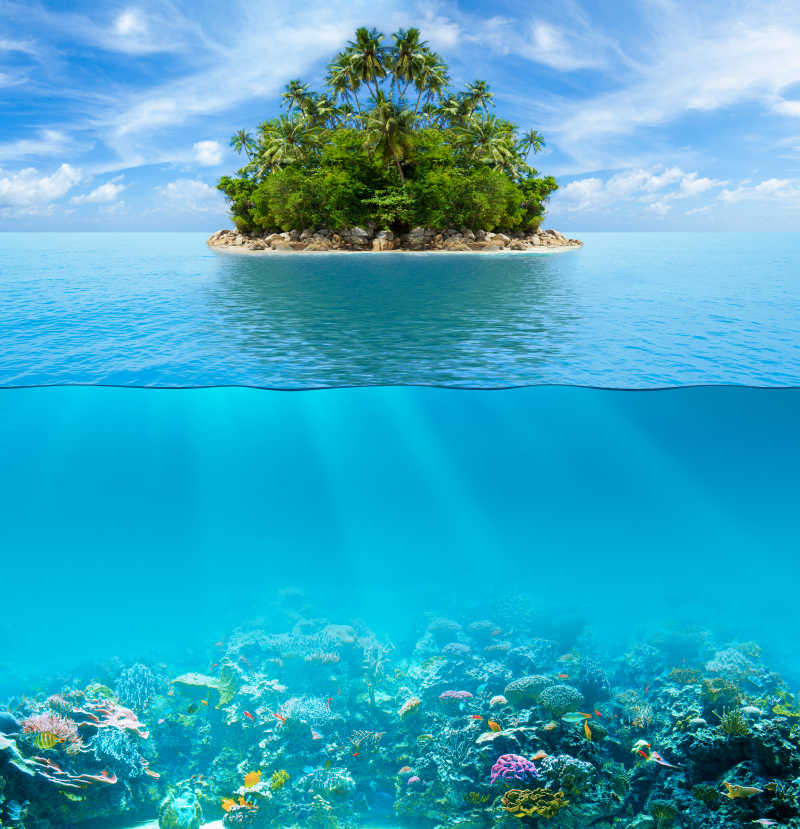 自然热带岛屿和海水下的珊瑚