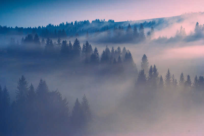 乌克兰喀尔巴阡山清晨的迷雾风景