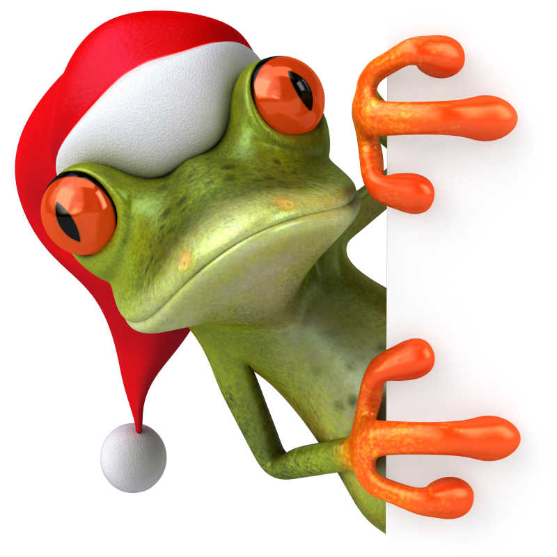 带着圣诞帽的树蛙插画