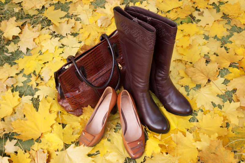 秋季落叶上的手提包和女士鞋子