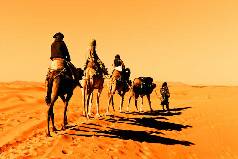 正在撒哈拉沙漠里行走的骆驼商队