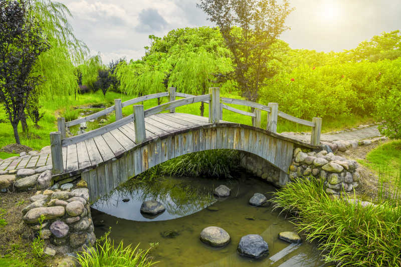绿色的花园里的小桥