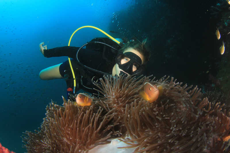 女潜水员在水下看到了珊瑚礁和小丑鱼
