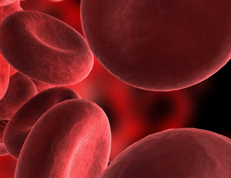 血细胞抽象设计