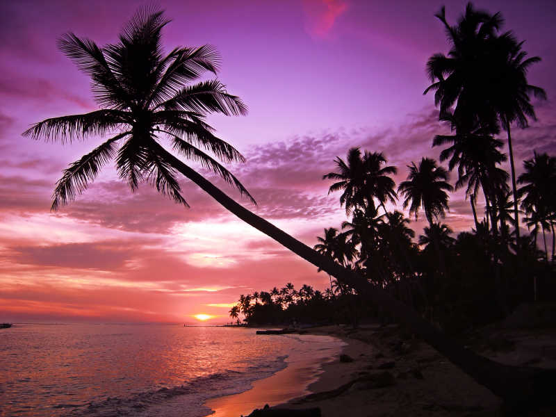 美丽的热带的海上日落